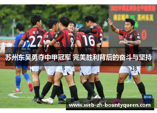 苏州东吴勇夺中甲冠军 完美胜利背后的奋斗与坚持