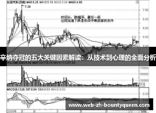 辛纳夺冠的五大关键因素解读:从技术到心理的全面分析 辛纳夺冠的五大关键因素解读:从技术到心理的全面分析